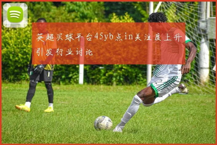 英超买球平台45yb点in关注度上升引发行业讨论