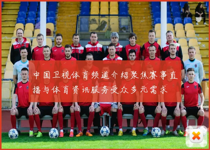 中国卫视体育频道介绍聚焦赛事直播与体育资讯服务受众多元需求