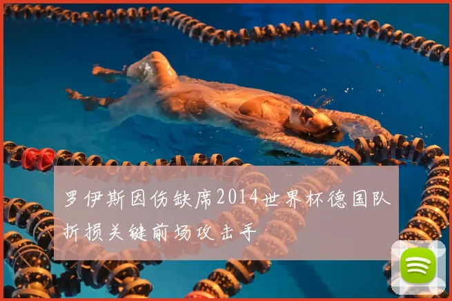 罗伊斯因伤缺席2014世界杯德国队折损关键前场攻击手