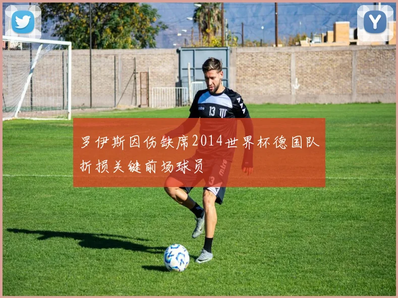 罗伊斯因伤缺席2014世界杯德国队折损关键前场球员