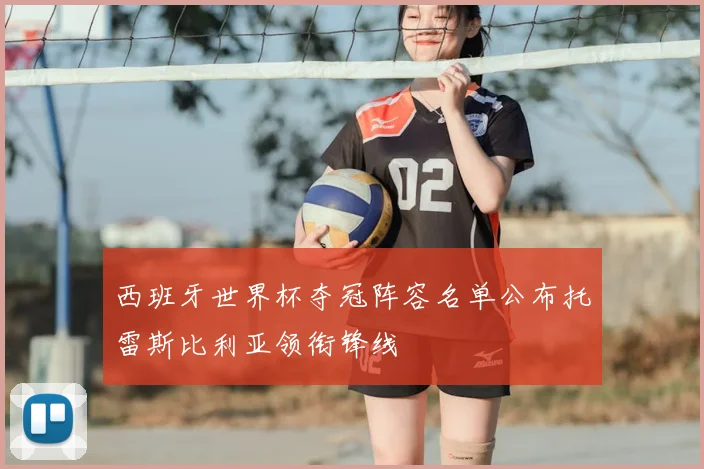 西班牙世界杯夺冠阵容名单公布托雷斯比利亚领衔锋线