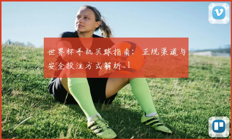 世界杯手机买球指南:正规渠道与安全投注方式解析_1